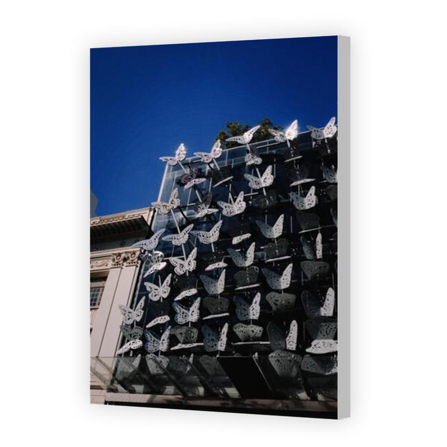 Thumbnail for Canvas - Coloured Canvas Wrap