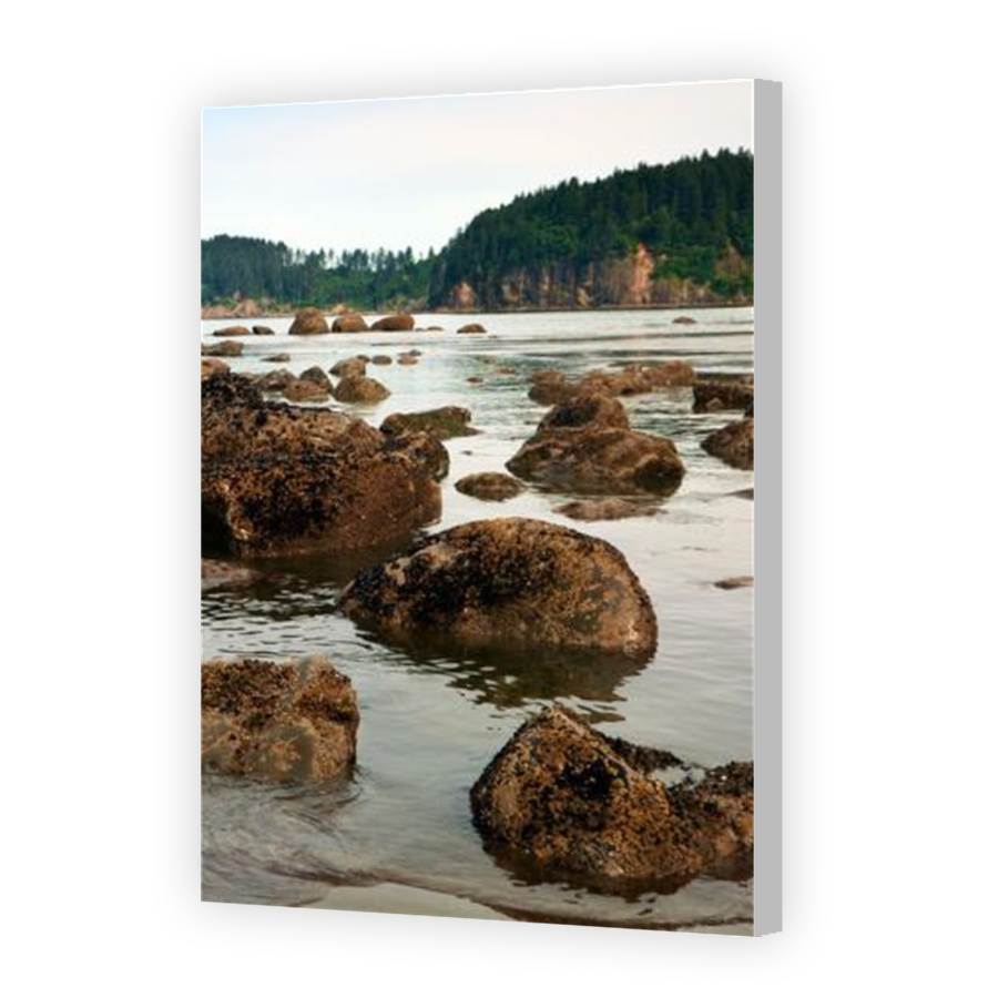 Thumbnail for Canvas - Coloured Canvas Wrap