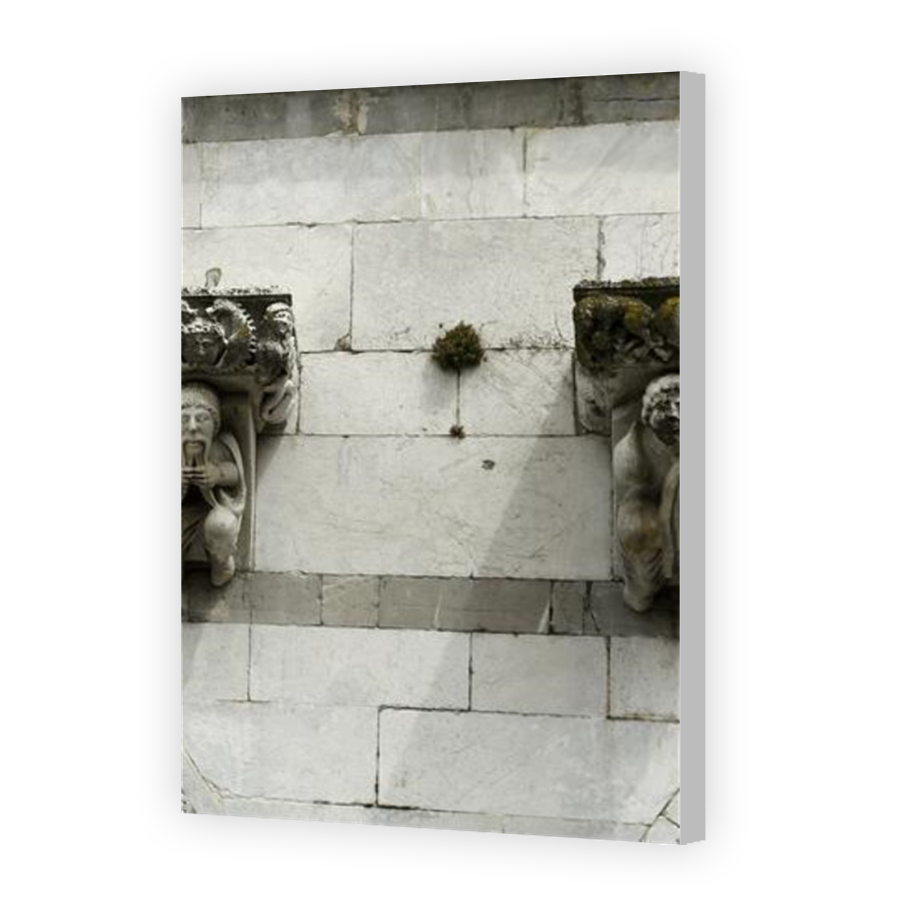Thumbnail for Canvas - Coloured Canvas Wrap
