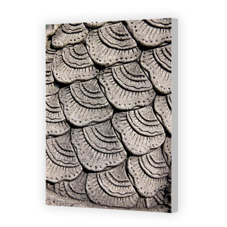 Thumbnail for Canvas - Coloured Canvas Wrap