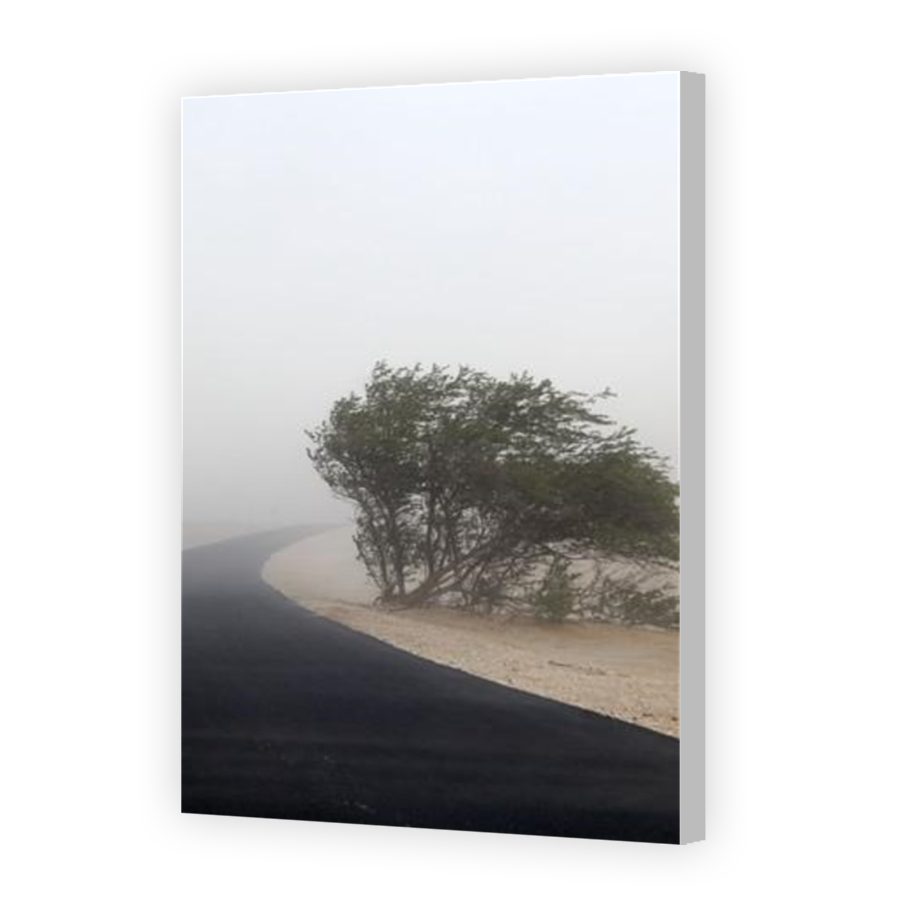 Thumbnail for Canvas - Coloured Canvas Wrap