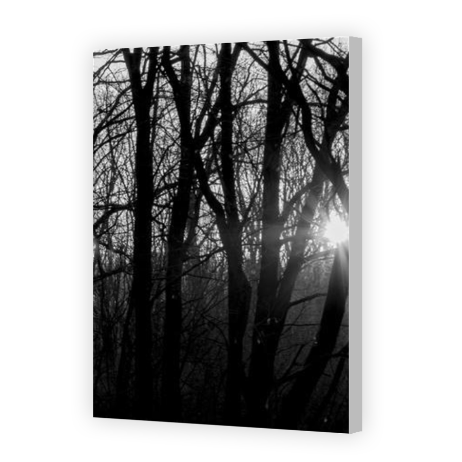 Thumbnail for Canvas - Coloured Canvas Wrap