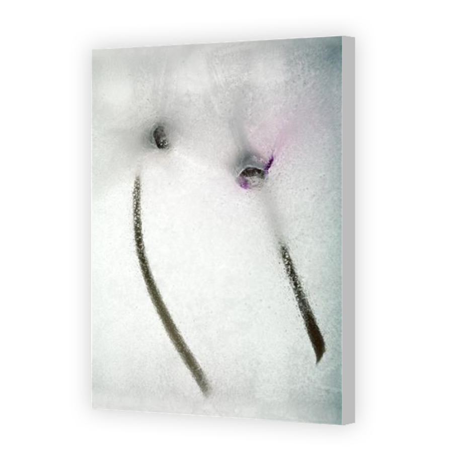 Thumbnail for Canvas - Coloured Canvas Wrap