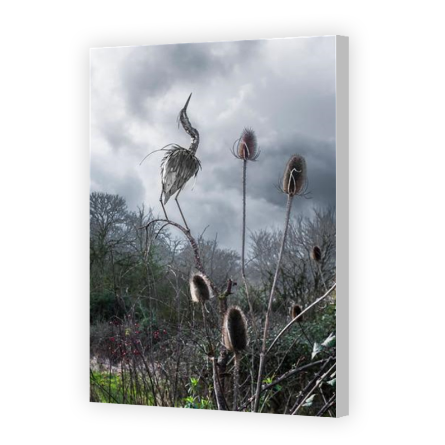Thumbnail for Canvas - Coloured Canvas Wrap