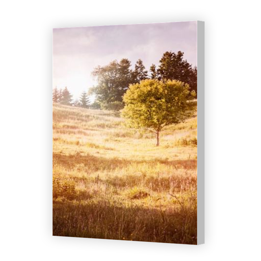 Thumbnail for Canvas - Coloured Canvas Wrap