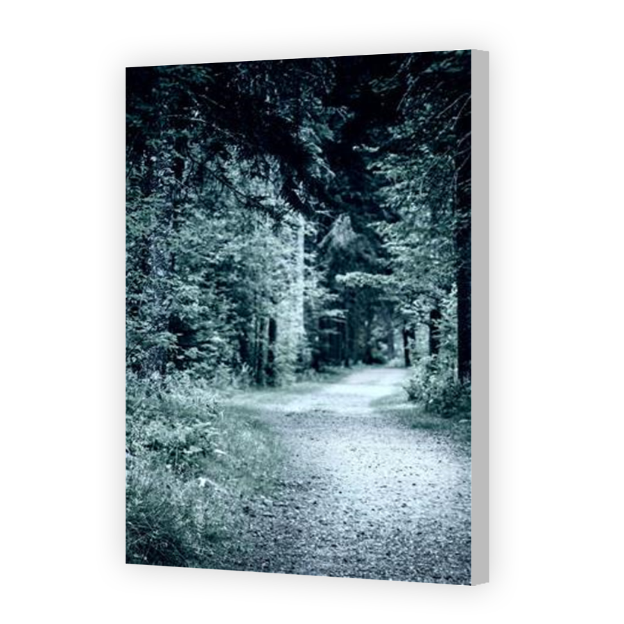 Thumbnail for Canvas - Coloured Canvas Wrap