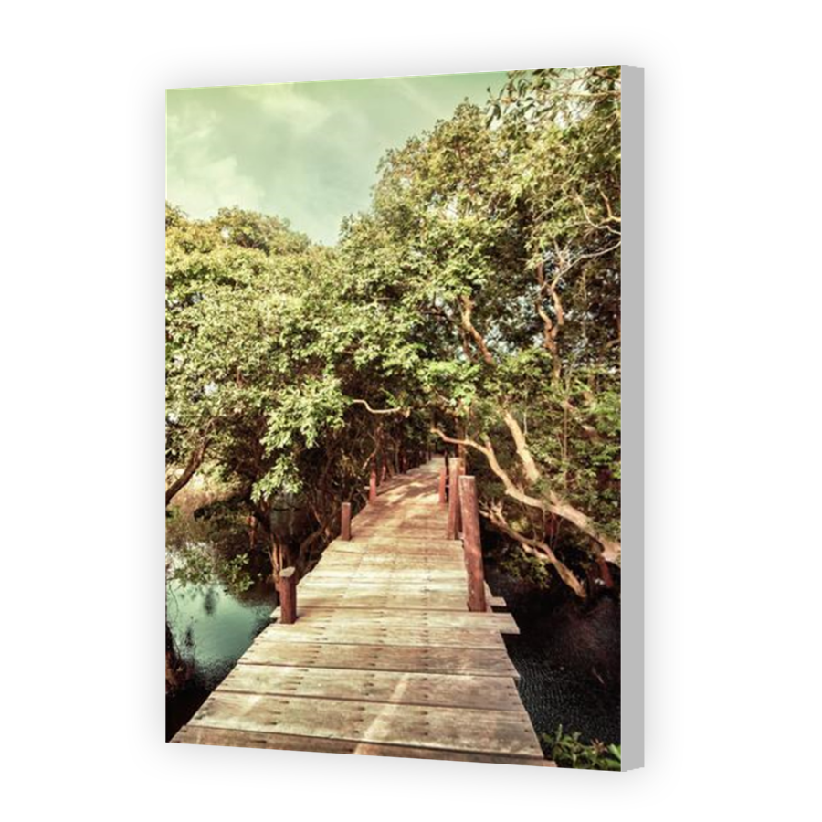 Thumbnail for Canvas - Coloured Canvas Wrap