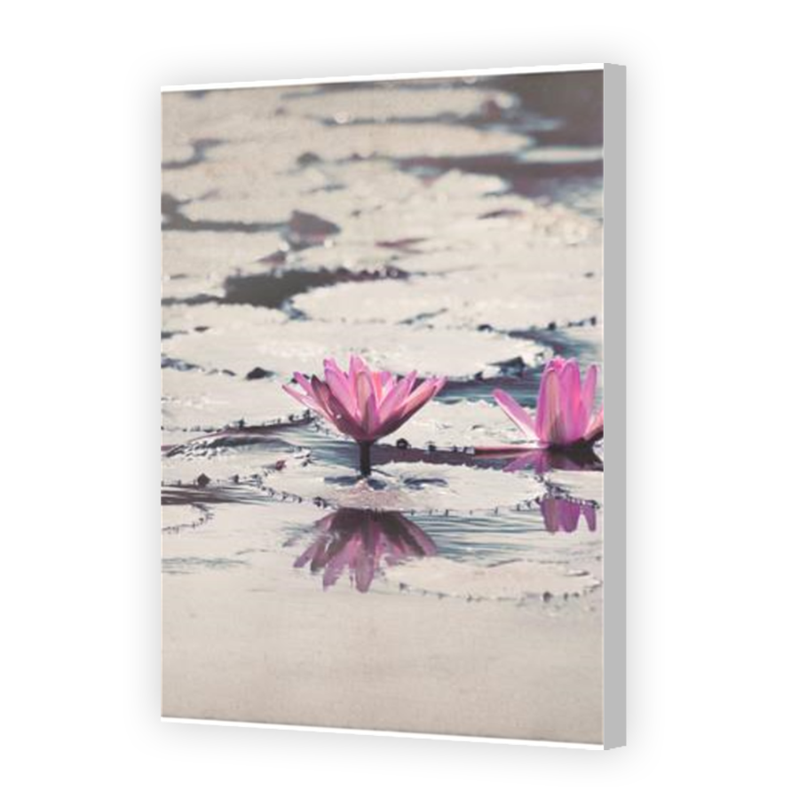 Thumbnail for Canvas - Coloured Canvas Wrap