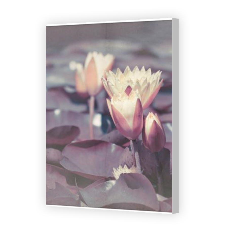 Thumbnail for Canvas - Coloured Canvas Wrap