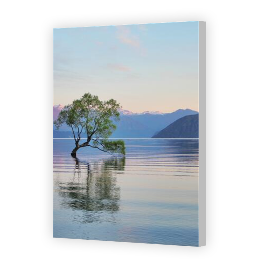 Thumbnail for Canvas - Coloured Canvas Wrap