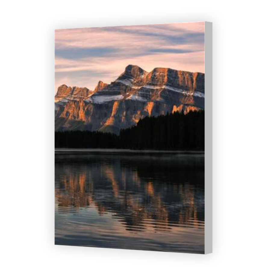 Thumbnail for Canvas - Coloured Canvas Wrap