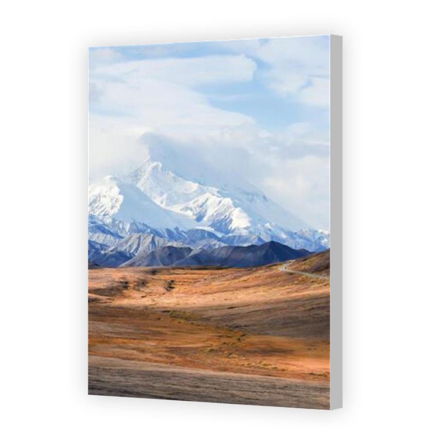 Thumbnail for Canvas - Coloured Canvas Wrap