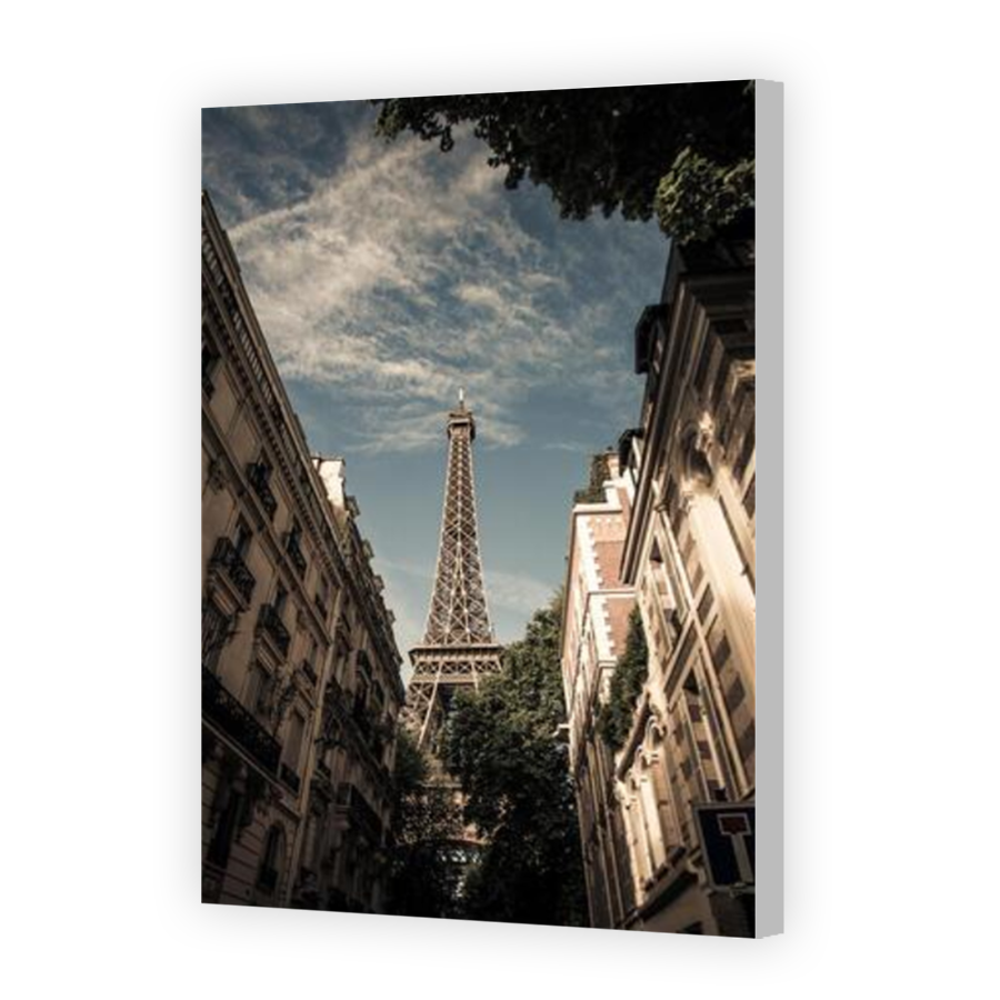 Thumbnail for Canvas - Coloured Canvas Wrap