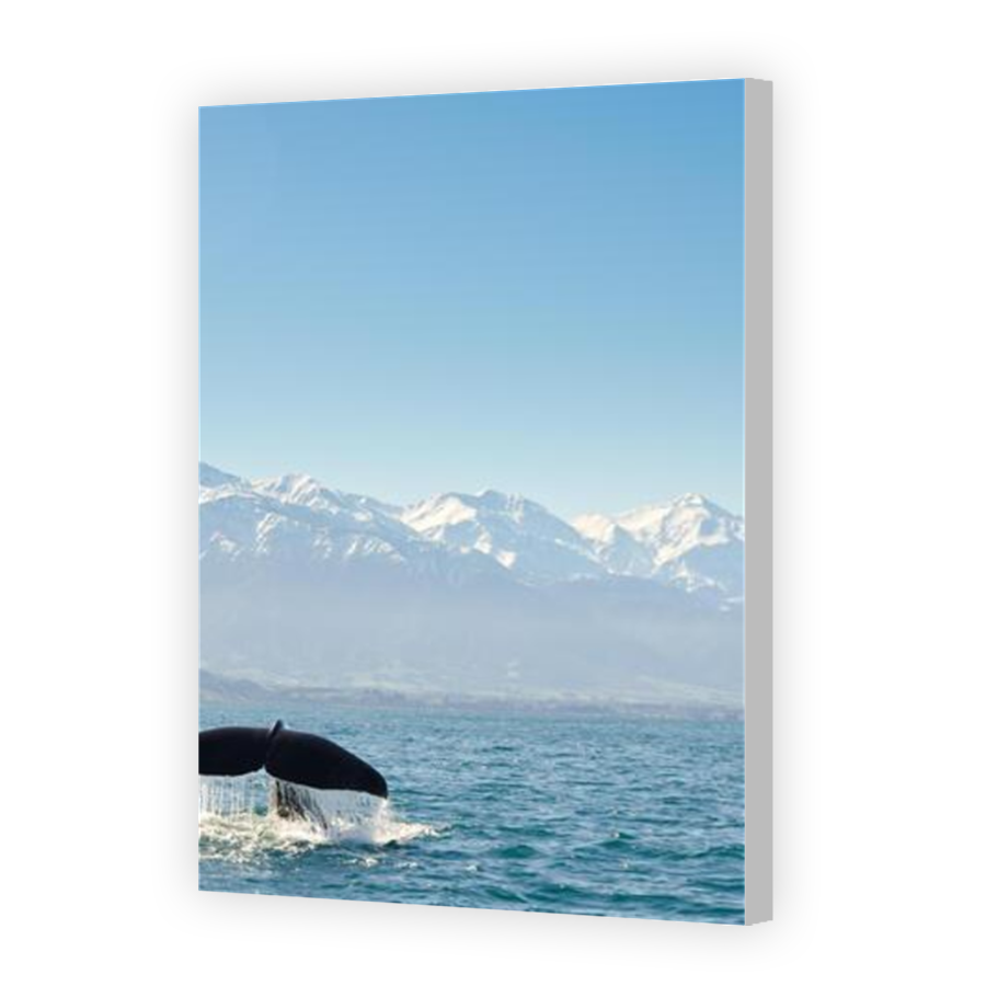 Thumbnail for Canvas - Coloured Canvas Wrap