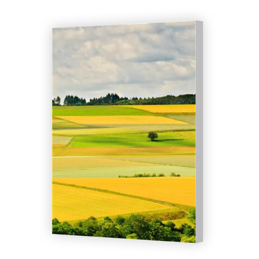 Thumbnail for Canvas - Coloured Canvas Wrap