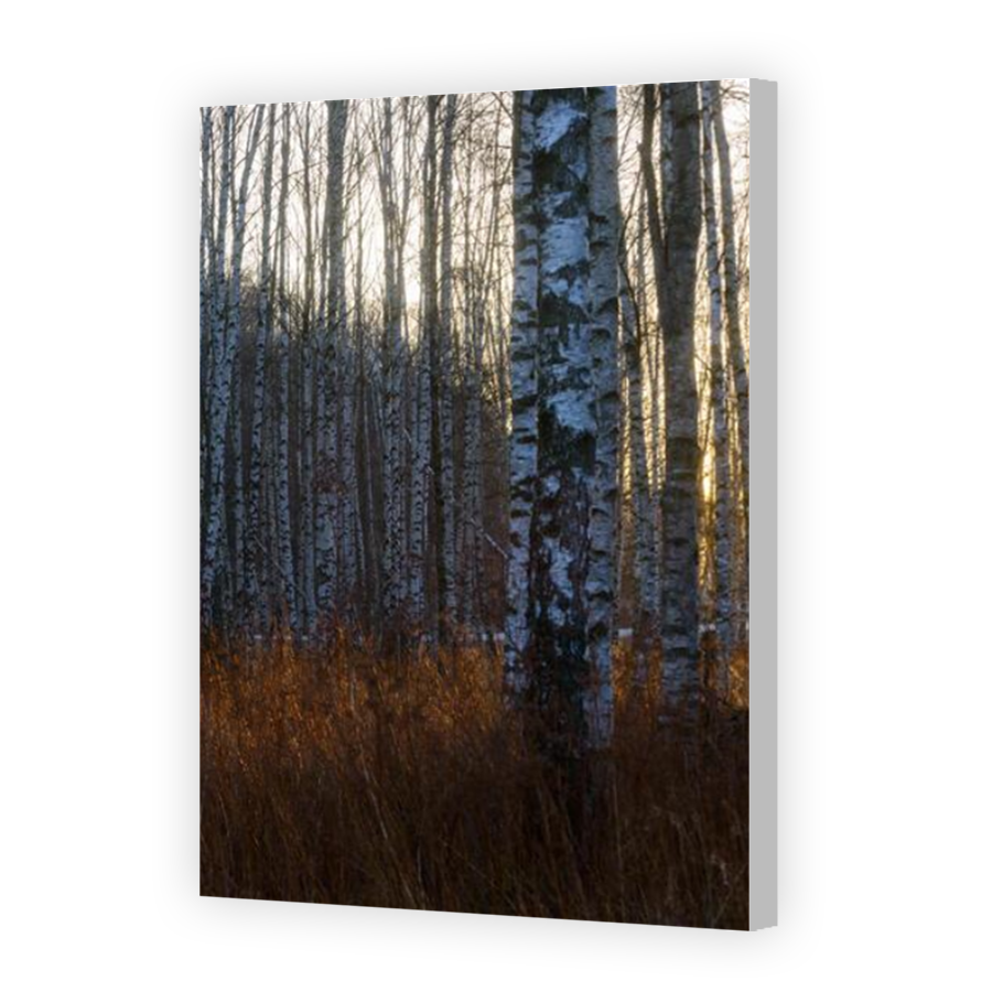Thumbnail for Canvas - Coloured Canvas Wrap