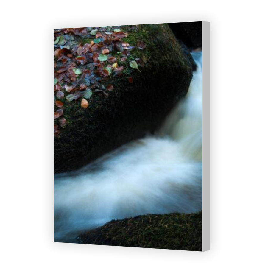 Thumbnail for Canvas - Coloured Canvas Wrap