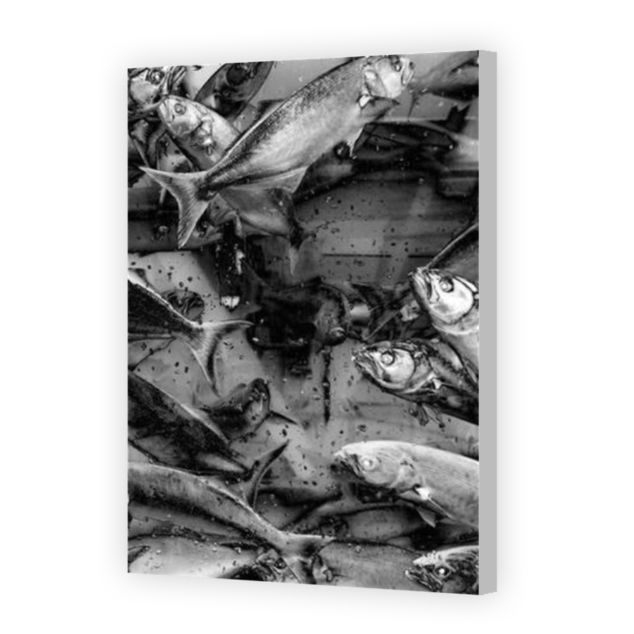Thumbnail for Canvas - Coloured Canvas Wrap