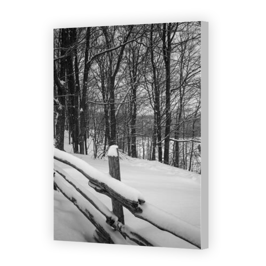 Thumbnail for Canvas - Coloured Canvas Wrap
