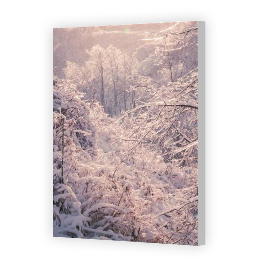 Thumbnail for Canvas - Coloured Canvas Wrap