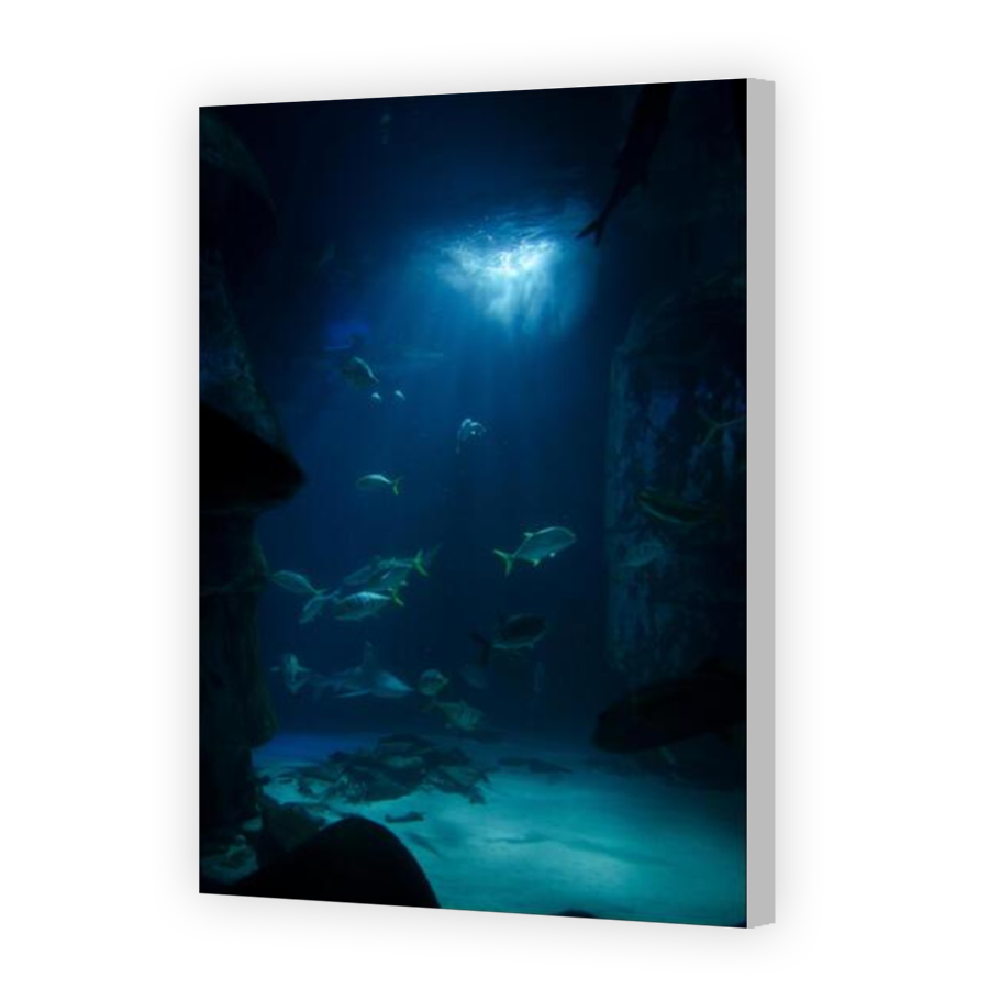 Thumbnail for Canvas - Coloured Canvas Wrap