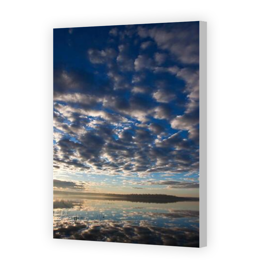 Thumbnail for Canvas - Coloured Canvas Wrap