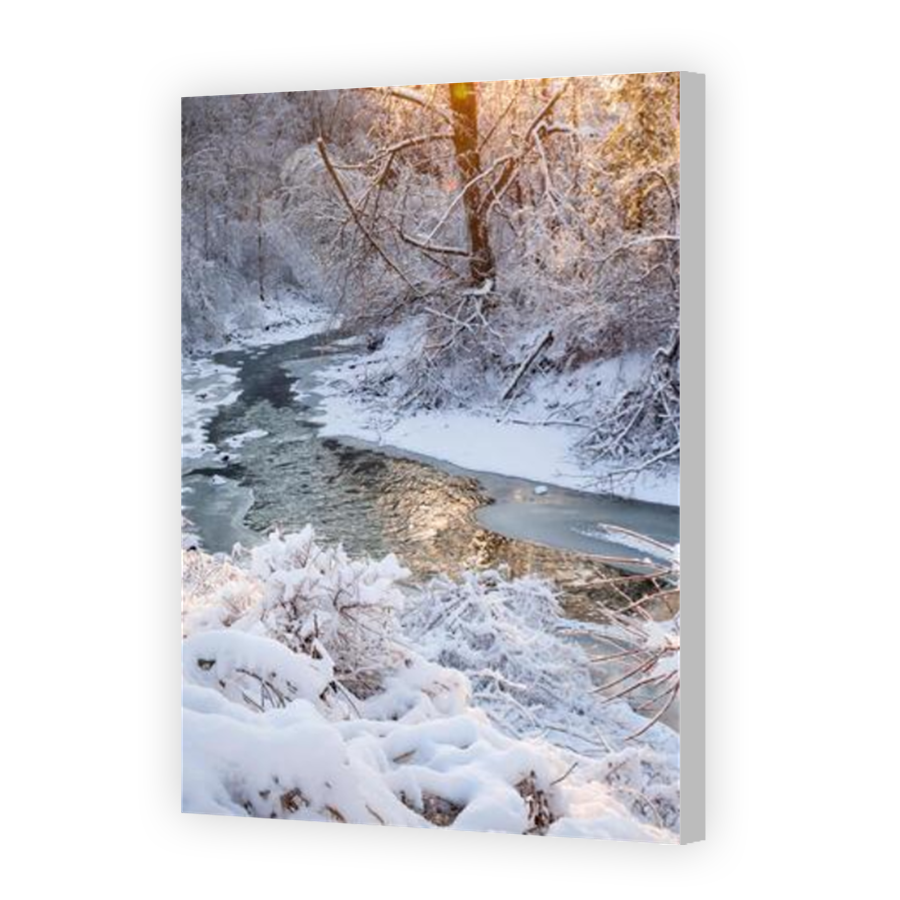 Thumbnail for Canvas - Coloured Canvas Wrap