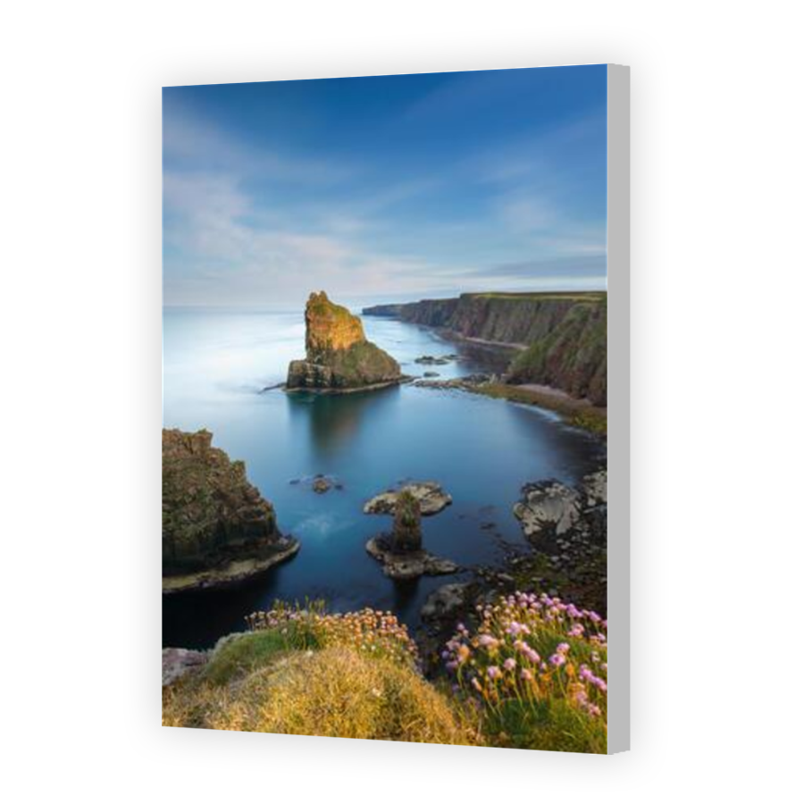 Thumbnail for Canvas - Coloured Canvas Wrap