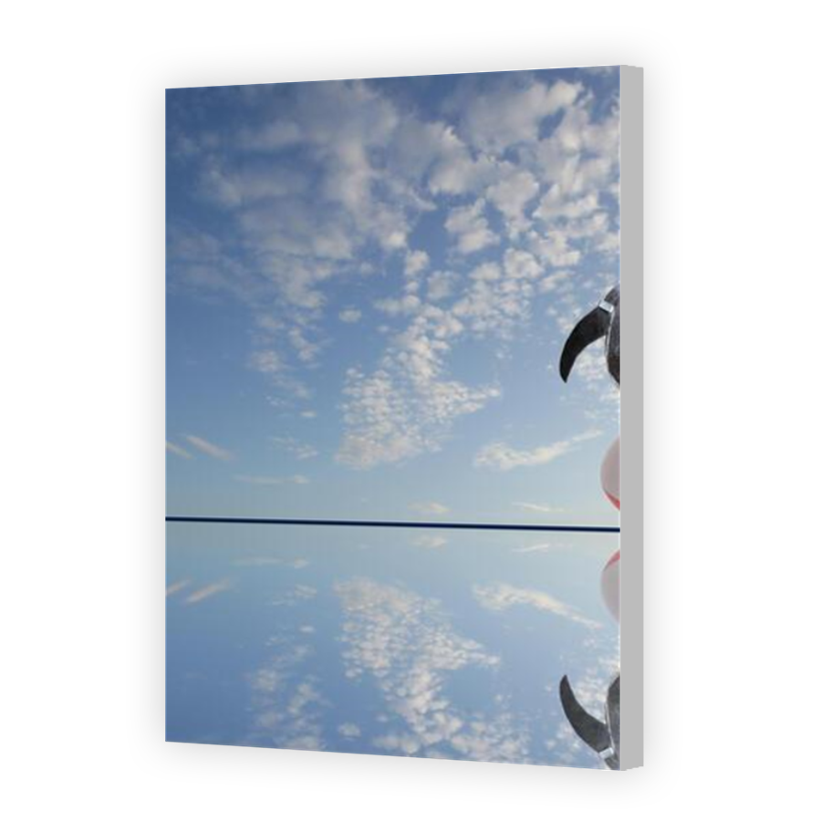 Thumbnail for Canvas - Coloured Canvas Wrap
