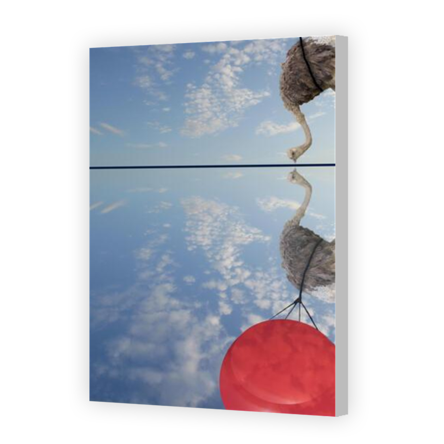 Thumbnail for Canvas - Coloured Canvas Wrap