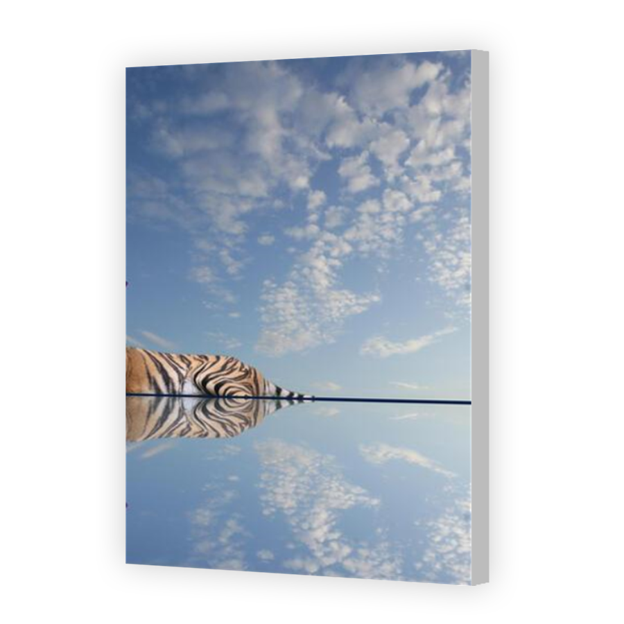 Thumbnail for Canvas - Coloured Canvas Wrap