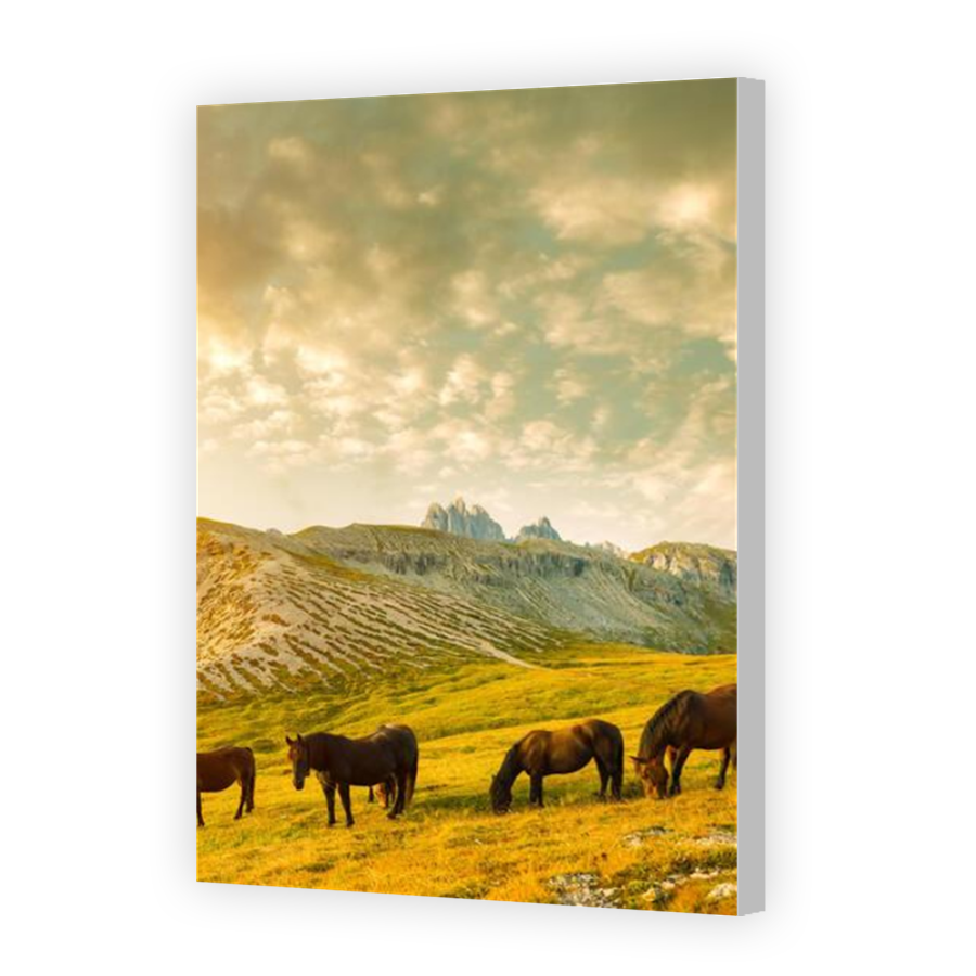 Thumbnail for Canvas - Coloured Canvas Wrap
