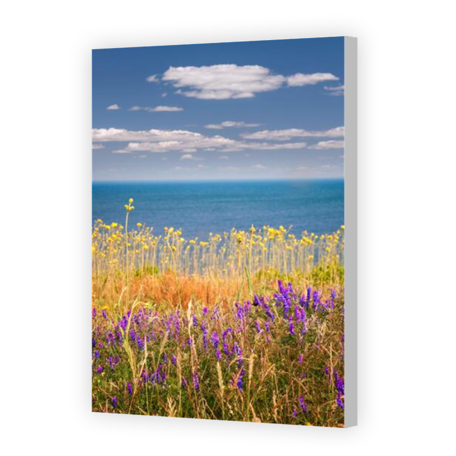Thumbnail for Canvas - Coloured Canvas Wrap