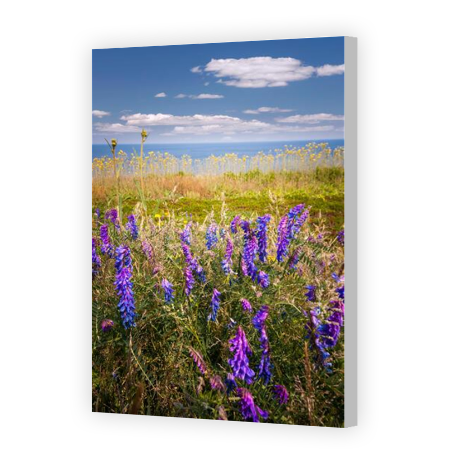 Thumbnail for Canvas - Coloured Canvas Wrap