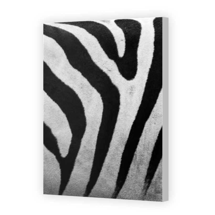 Thumbnail for Canvas - Coloured Canvas Wrap