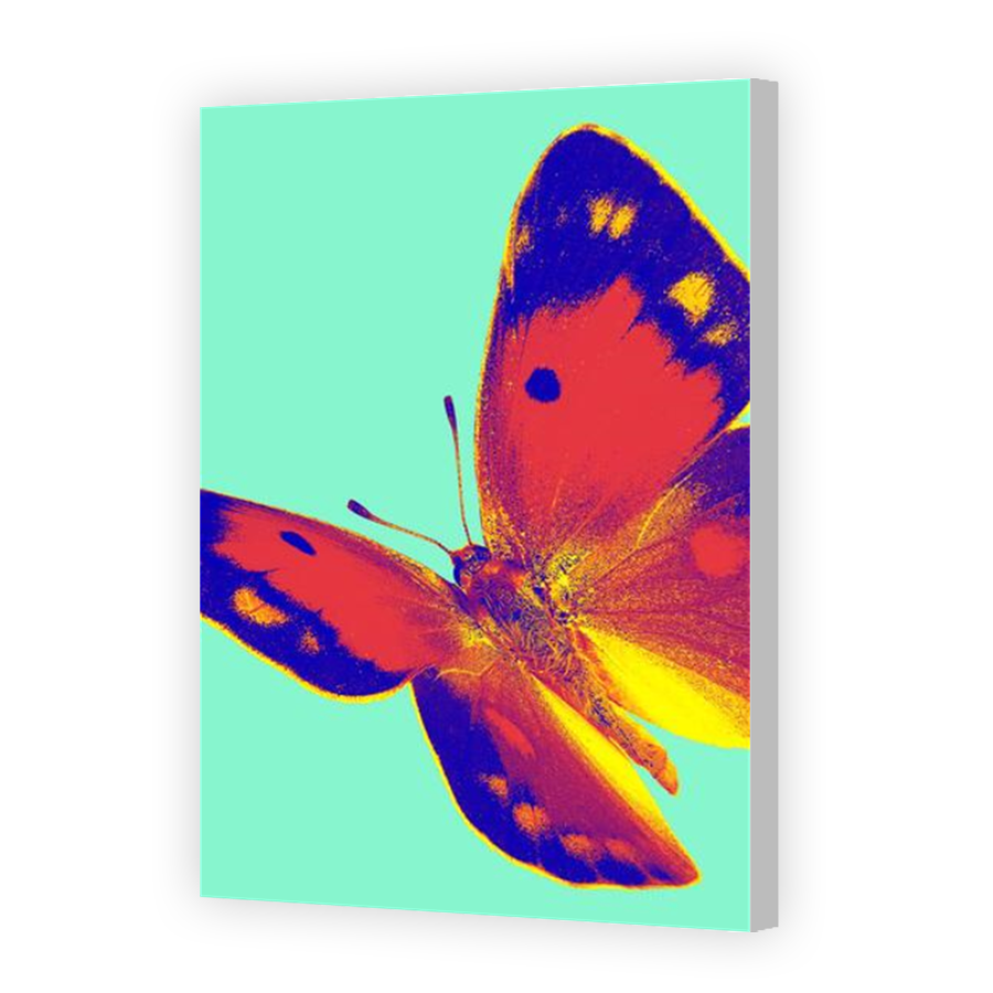 Thumbnail for Canvas - Coloured Canvas Wrap