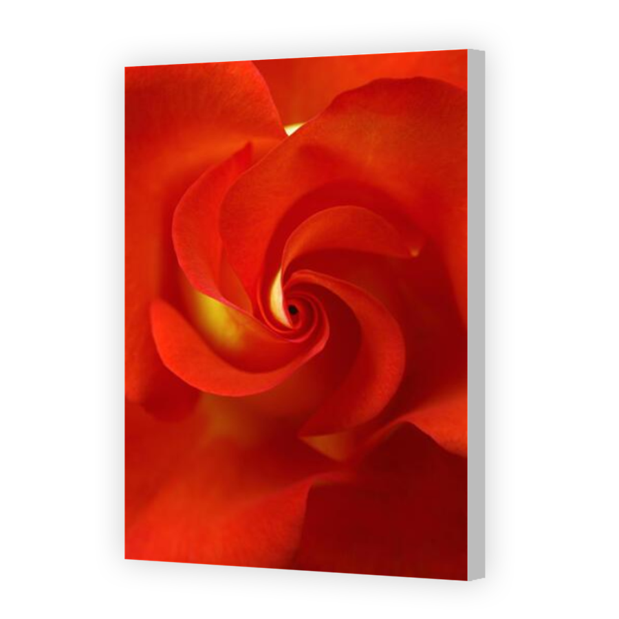 Thumbnail for Canvas - Coloured Canvas Wrap