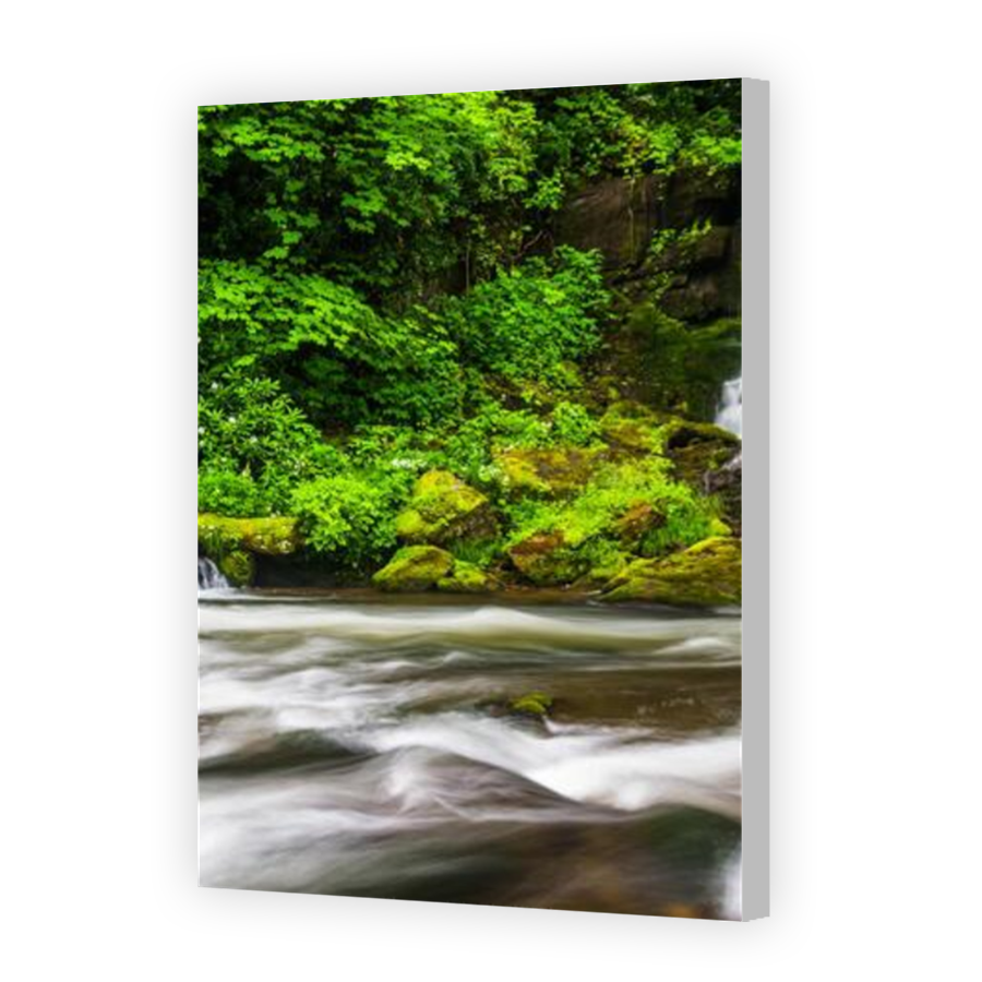 Thumbnail for Canvas - Coloured Canvas Wrap
