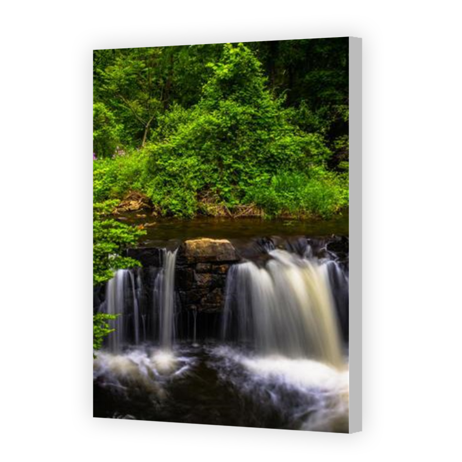 Thumbnail for Canvas - Coloured Canvas Wrap