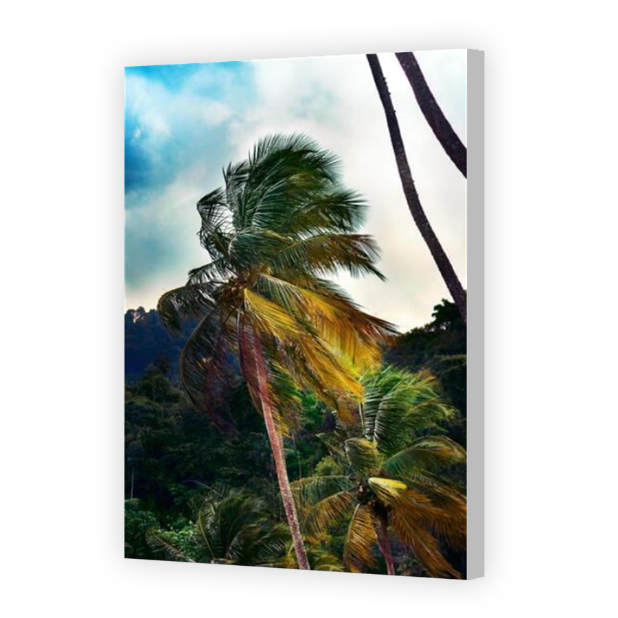 Thumbnail for Canvas - Coloured Canvas Wrap