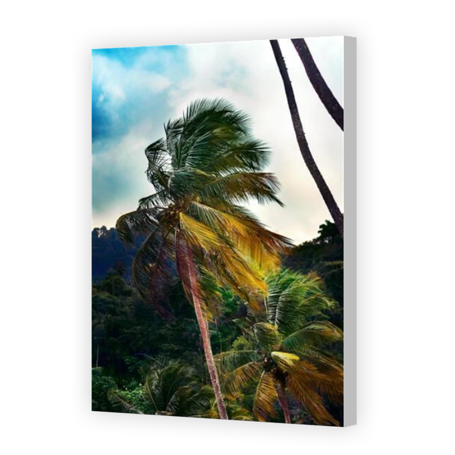Thumbnail for Canvas - Coloured Canvas Wrap