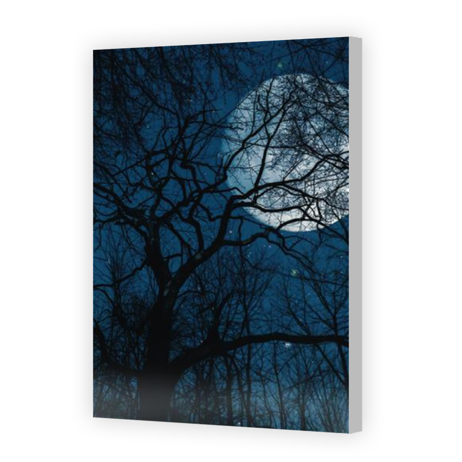 Thumbnail for Canvas - Coloured Canvas Wrap