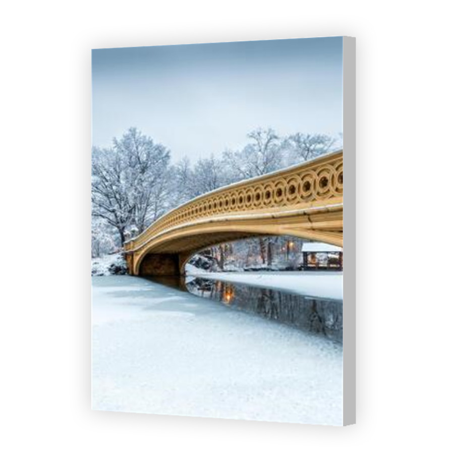 Thumbnail for Canvas - Coloured Canvas Wrap