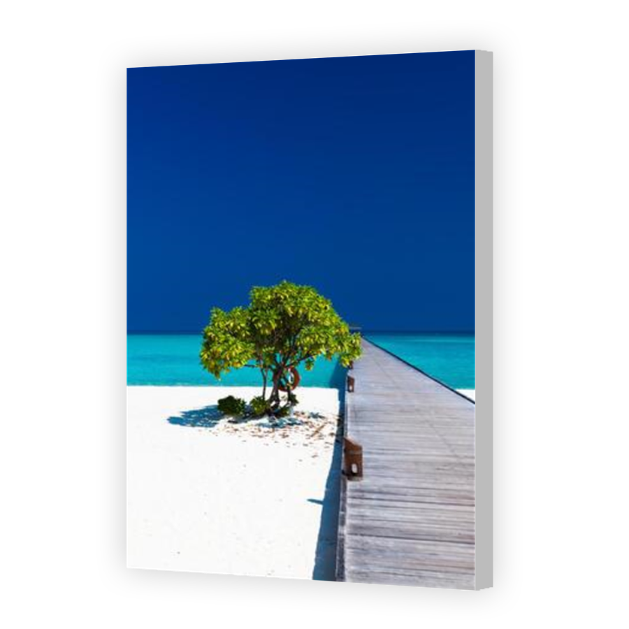 Thumbnail for Canvas - Coloured Canvas Wrap