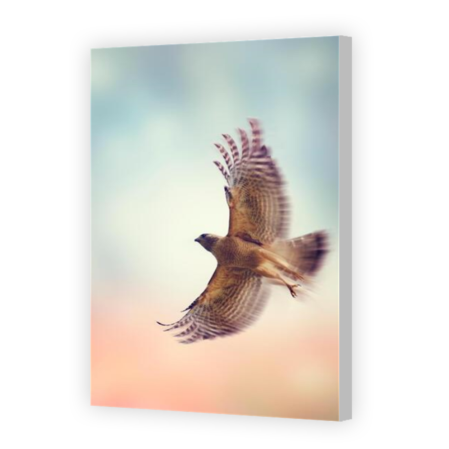 Thumbnail for Canvas - Coloured Canvas Wrap