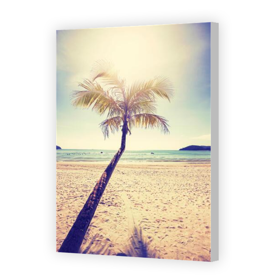 Thumbnail for Canvas - Coloured Canvas Wrap