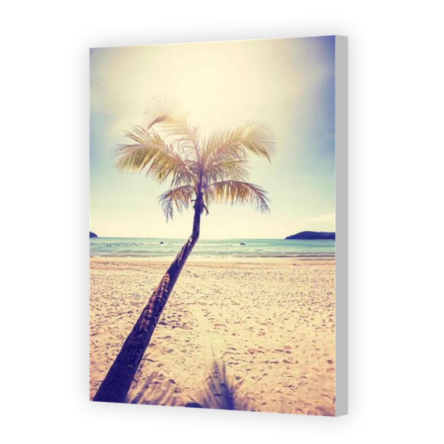 Thumbnail for Canvas - Coloured Canvas Wrap