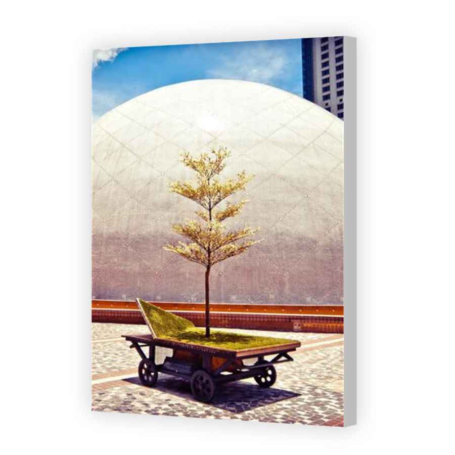 Thumbnail for Canvas - Coloured Canvas Wrap