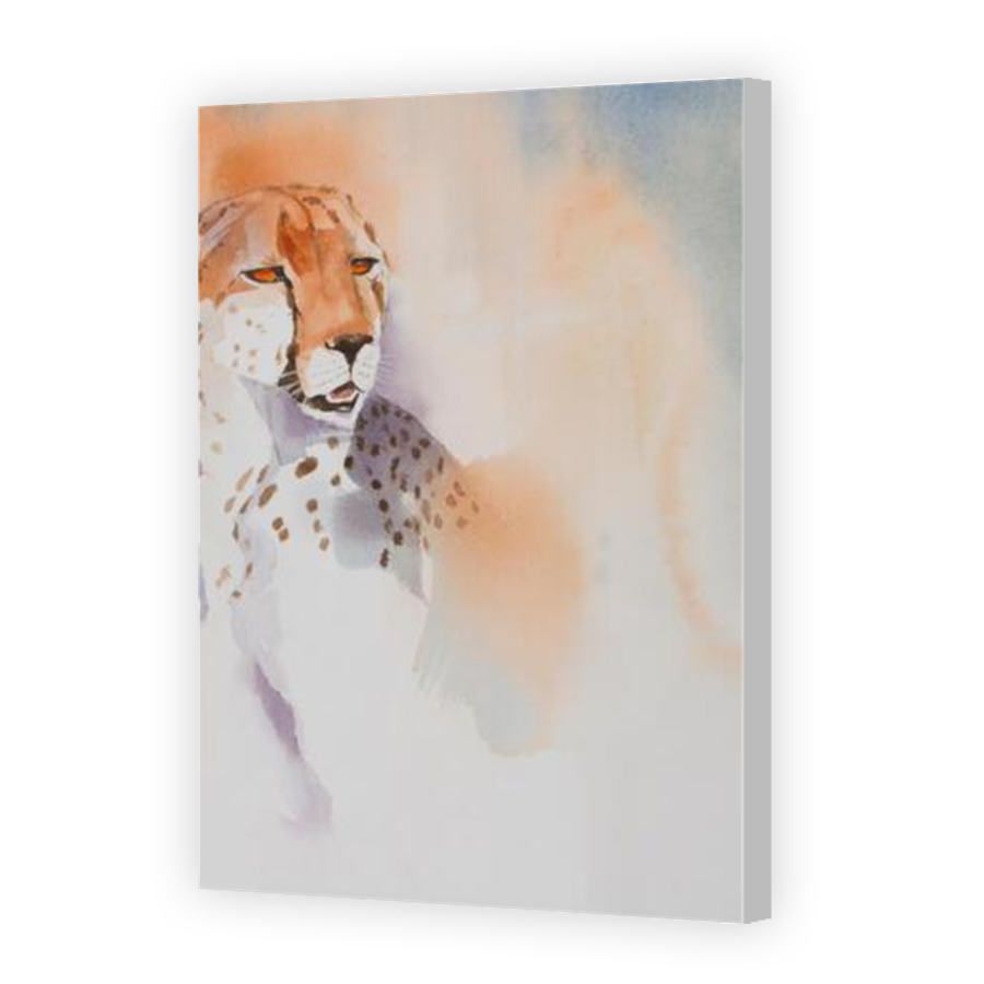 Thumbnail for Canvas - Coloured Canvas Wrap