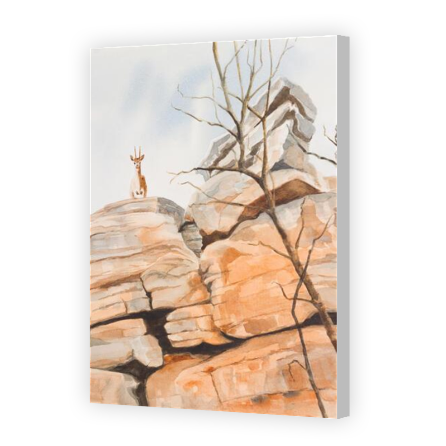 Thumbnail for Canvas - Coloured Canvas Wrap